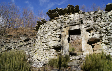 Fortificaciones para la miel