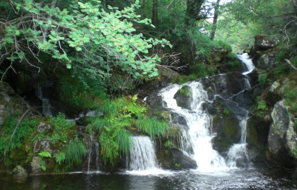 Organiza tu viaje a Sanabria